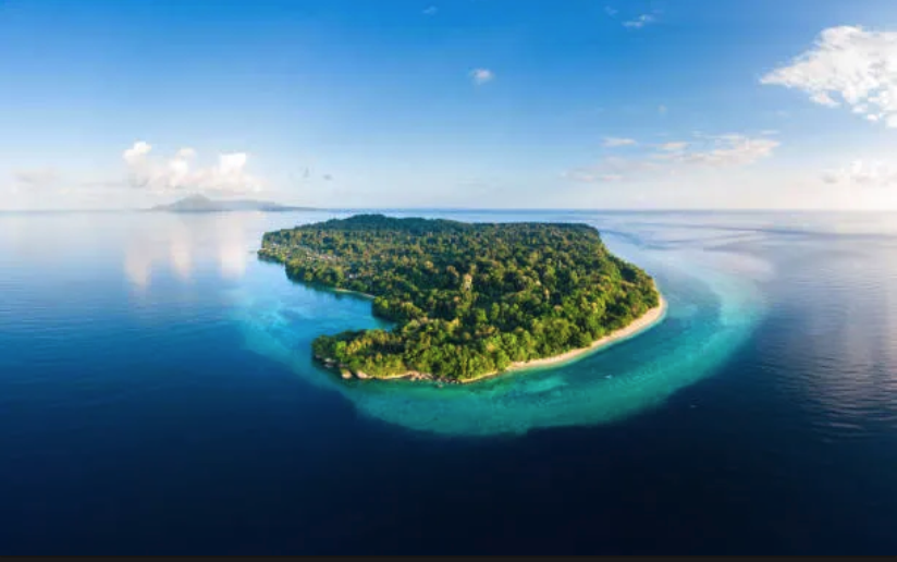 Screenshot 2026-01-14 at 9.51.40 AM